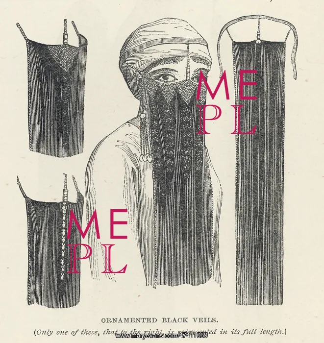 : Egyptian Veils - 1 : Egyptian Veils - 1
