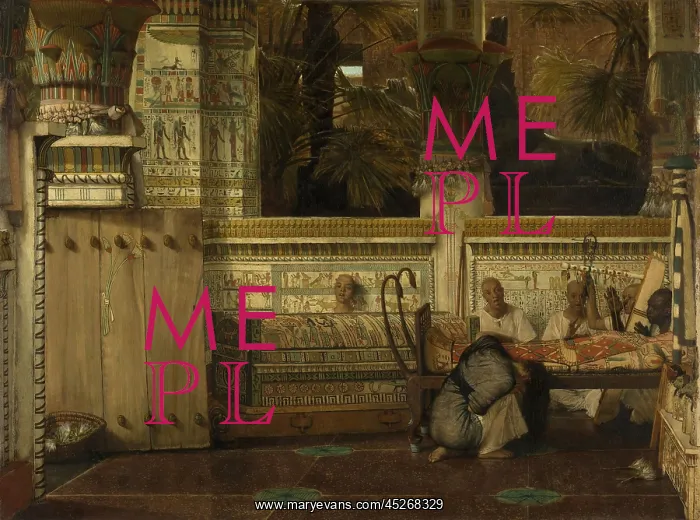 : Egyptian Widow : Egyptian Widow