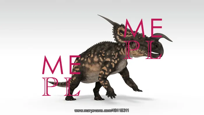 : Einiosaurus dinosaur, white background : Einiosaurus dinosaur, white background