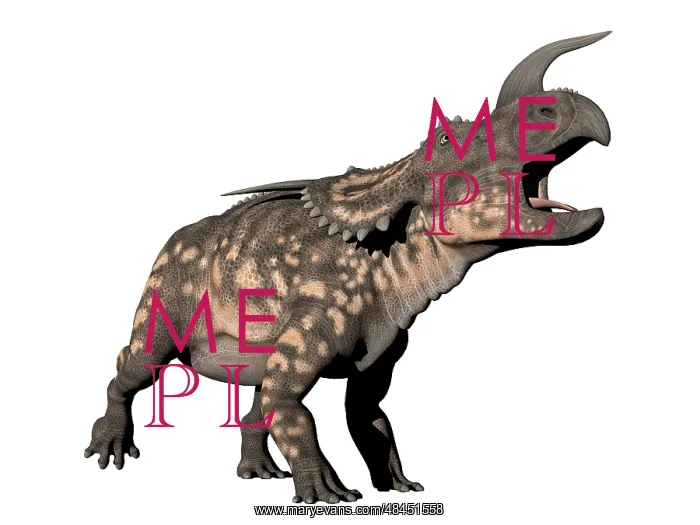 : Einiosaurus dinosaur, white background : Einiosaurus dinosaur, white background