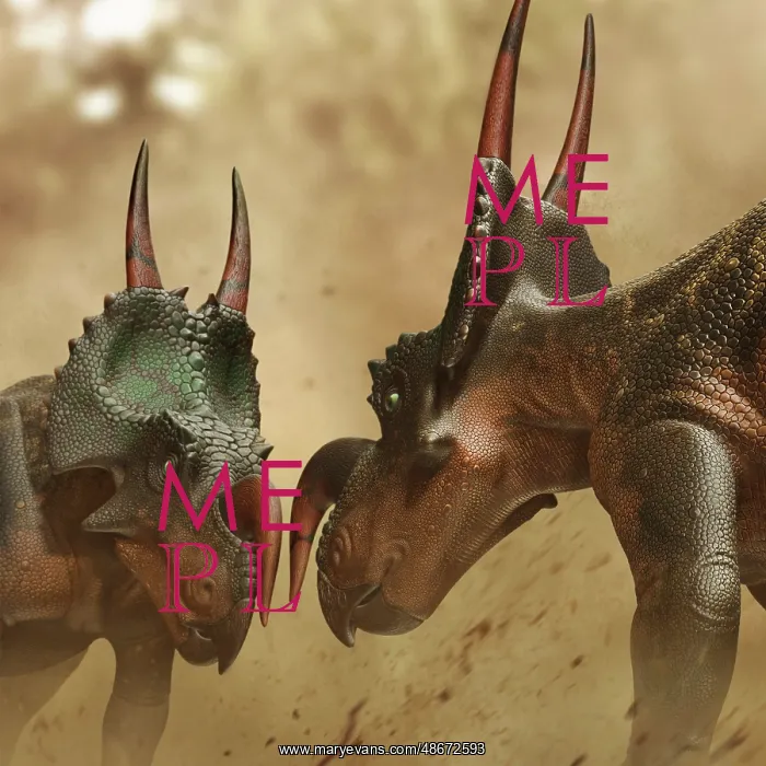: Two Einiosaurus dinosaurs fighting : Two Einiosaurus dinosaurs fighting