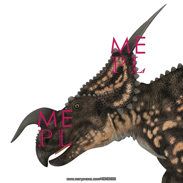 : Einiosaurus portrait : Einiosaurus portrait