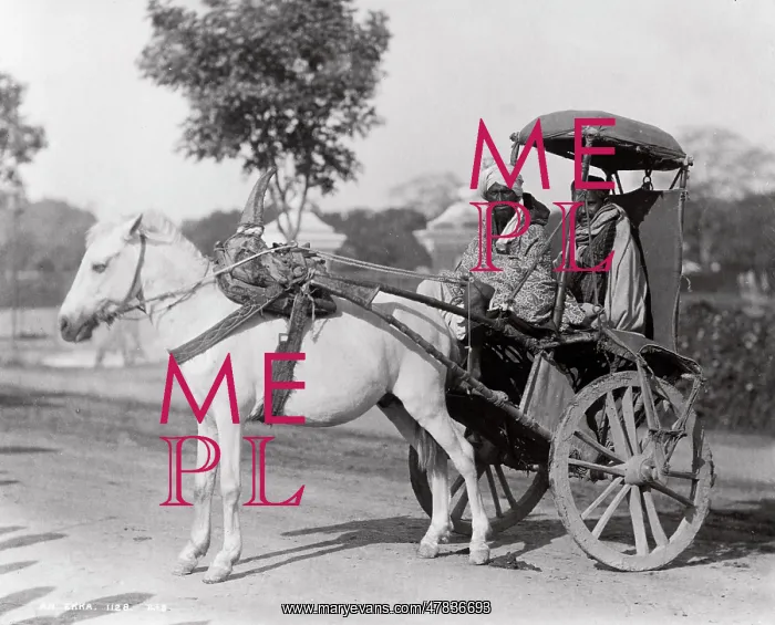: Ekka, single horse carriage, hackney, India : Ekka, single horse carriage, hackney, India