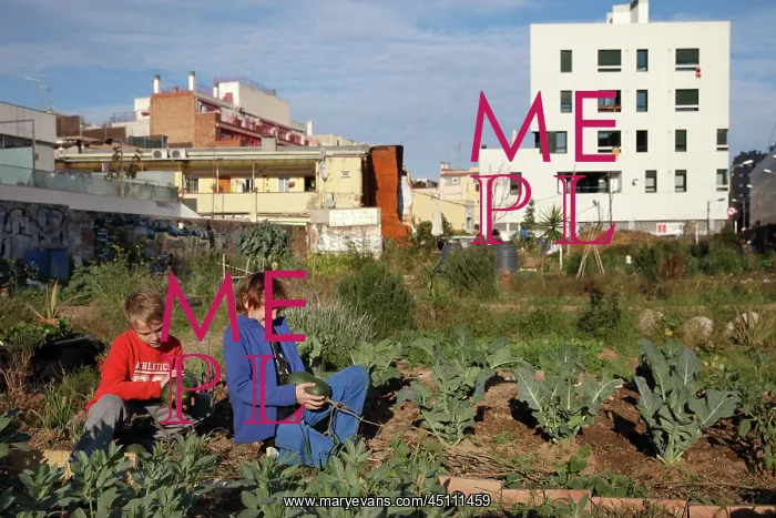 : El Hort Indignat allotments, El Poblenou, Barcelona : El Hort Indignat allotments, El Poblenou, Barcelona