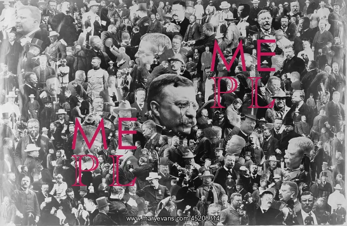: Elaborate 1908 photomontage constructed ? : Elaborate 1908 photomontage constructed ?