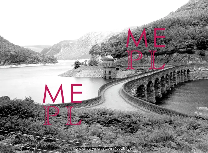  : Elan Valley, Careg Ddu c1955