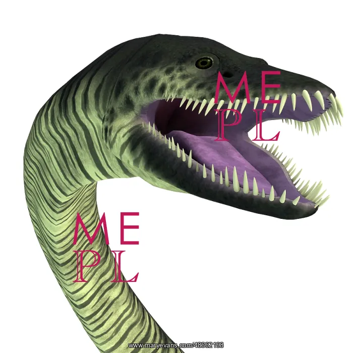 : Elasmosaurus aqautic reptile head : Elasmosaurus aqautic reptile head