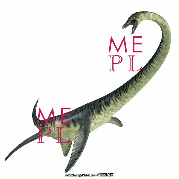 : Elasmosaurus aquatic reptile : Elasmosaurus aquatic reptile