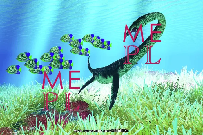 : An Elasmosaurus hunting a school of royal angelfish : An Elasmosaurus hunting a school of royal angelfish