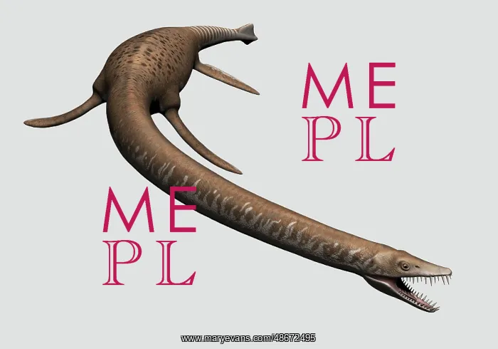 : Elasmosaurus isolated on a white background : Elasmosaurus isolated on a white background