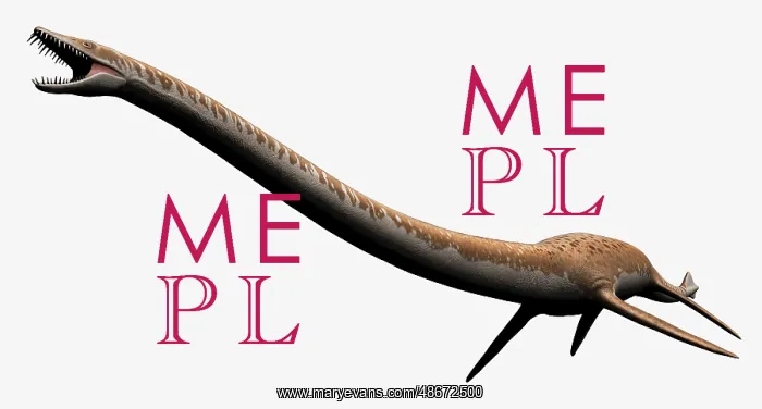 : Elasmosaurus isolated on a white background : Elasmosaurus isolated on a white background
