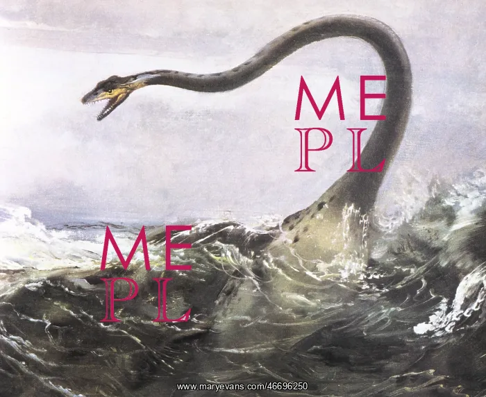 : Elasmosaurus platyurus : Elasmosaurus platyurus