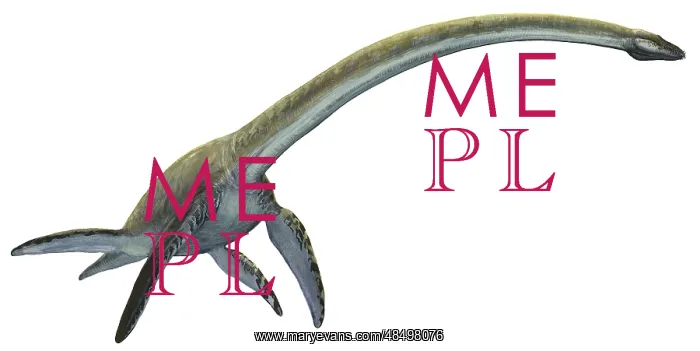 : Elasmosaurus platyurus, a prehistoric dinosaur : Elasmosaurus platyurus, a prehistoric dinosaur