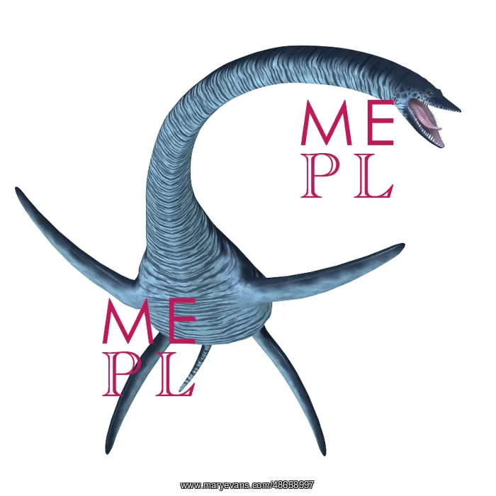 : Elasmosaurus plesiosaur, front view on white background : Elasmosaurus plesiosaur, front view on white background