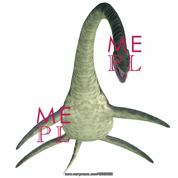 : Elasmosaurus on white background : Elasmosaurus on white background