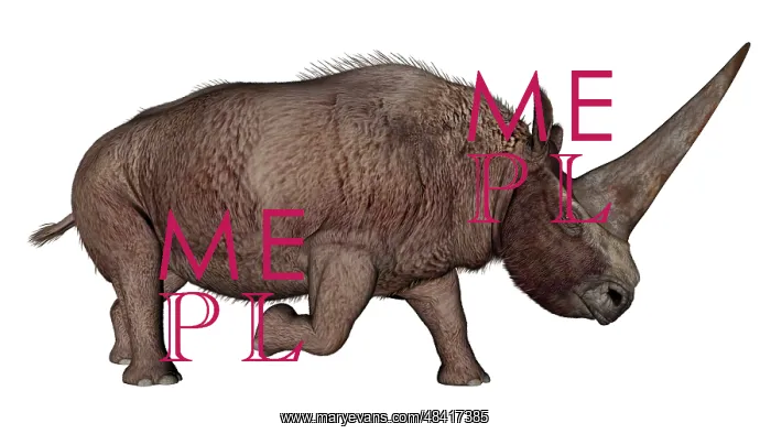 : Elasmotherium : Elasmotherium