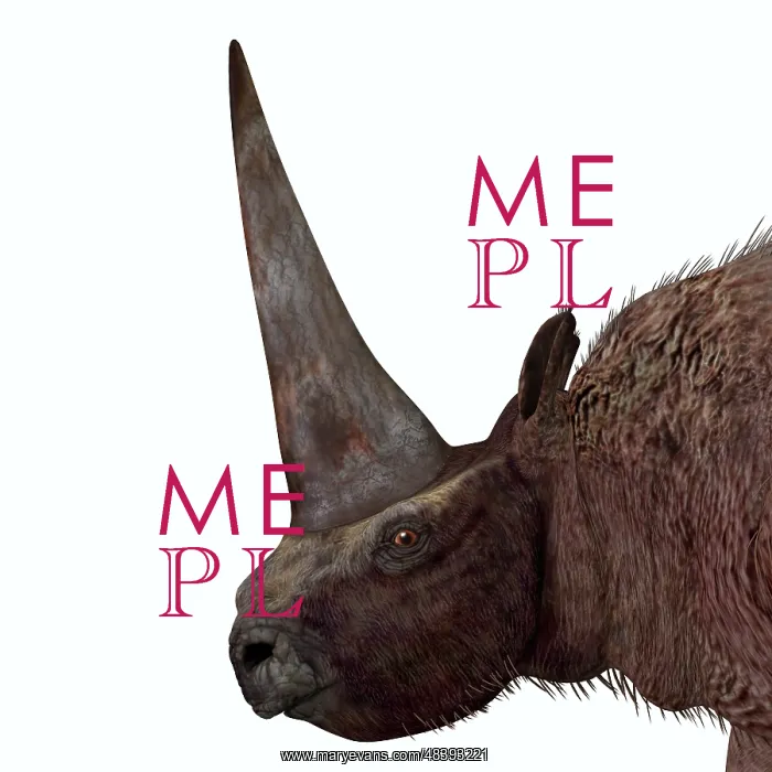 : Elasmotherium portrait : Elasmotherium portrait