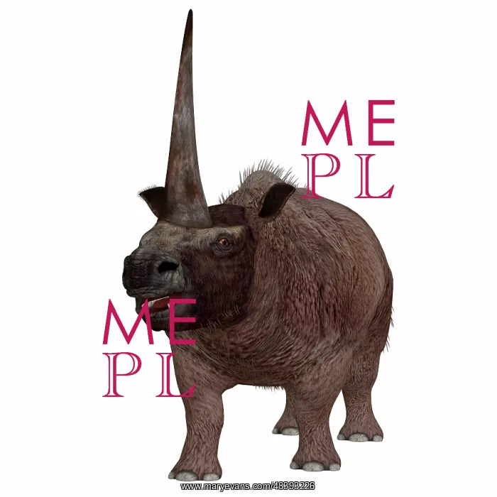 : Elasmotherium on white background : Elasmotherium on white background
