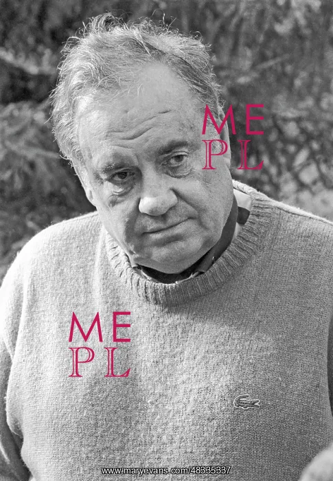 : Eldar Ryazanov, 1991