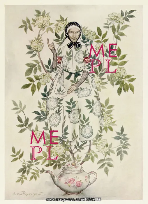 : Elder-Tree Mother : Elder-Tree Mother