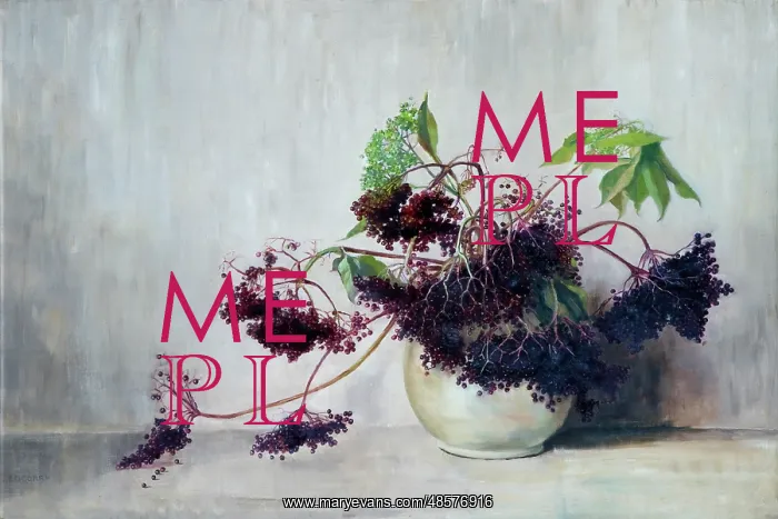  : Elderberries