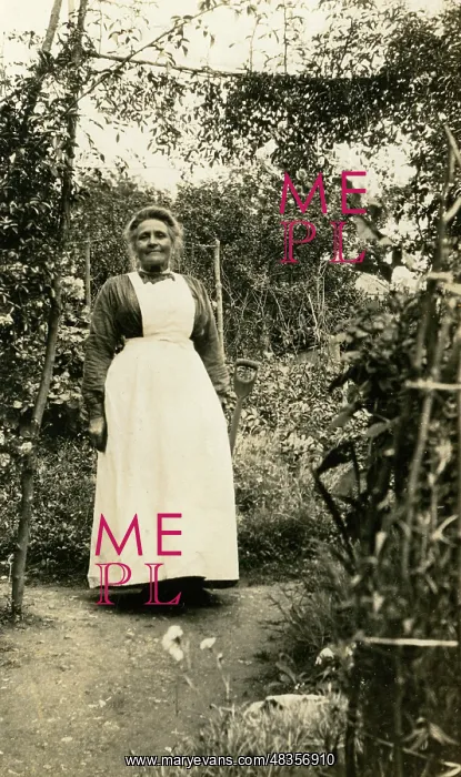  : Elderly maid digging in the garden