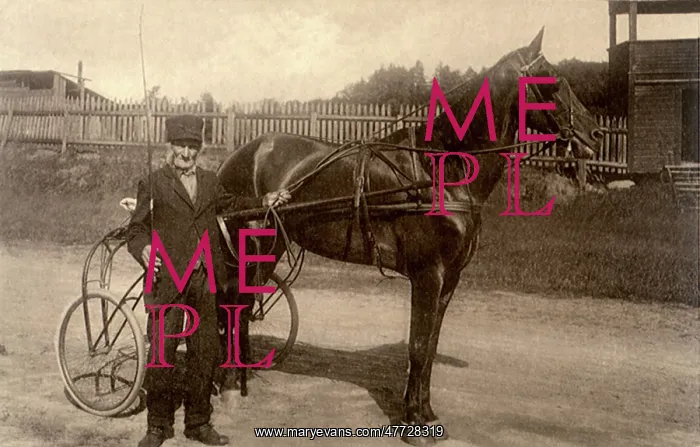  : Elderly Man and Horse