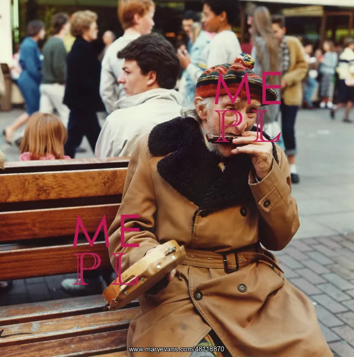 : Elderly man playing music on a bench : Elderly man playing music on a bench
