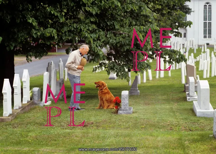 : Elderly Man Visiting Grave Site Standing by Headstone : Elderly Man Visiting Grave Site Standing by Headstone