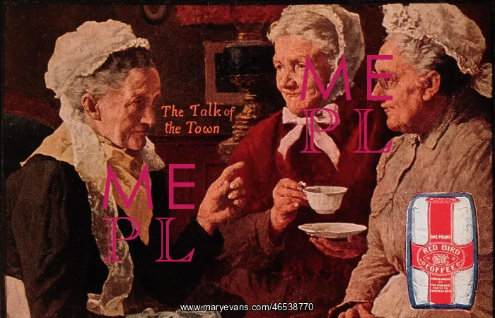 : Three Elderly Women drinking Coffee : Three Elderly Women drinking Coffee