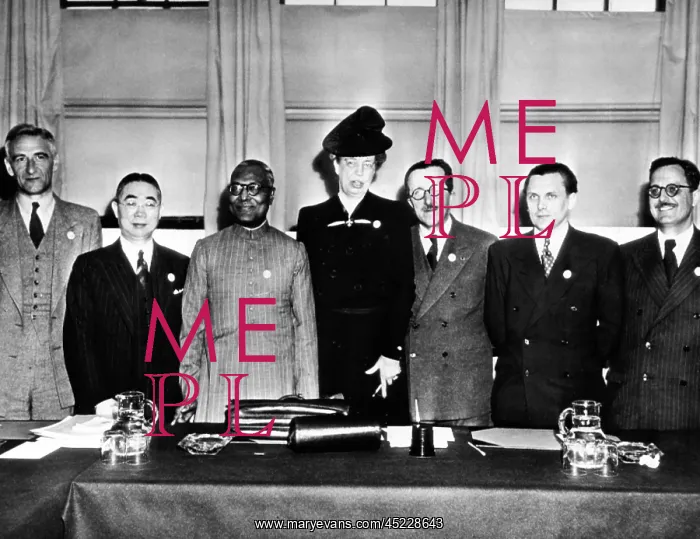 : Eleanor Roosevelt chaired the United Nations, ? : Eleanor Roosevelt chaired the United Nations, ?