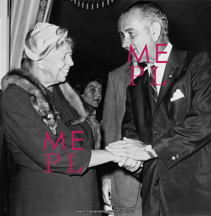: Eleanor Roosevelt shaking hands with Democratic ? : Eleanor Roosevelt shaking hands with Democratic ?