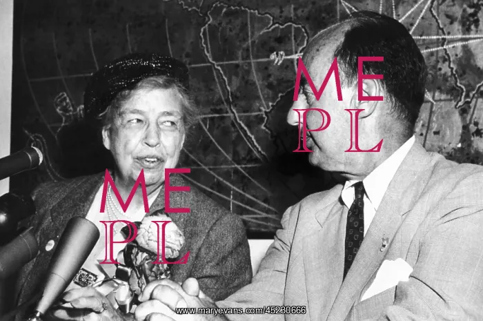 : Eleanor Roosevelt supported Adlai Stevenson ? : Eleanor Roosevelt supported Adlai Stevenson ?