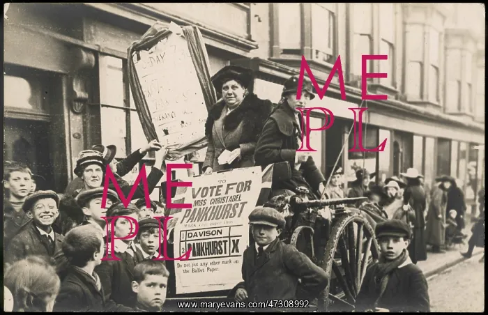 : ELECTION CAMPAIGN : ELECTION CAMPAIGN