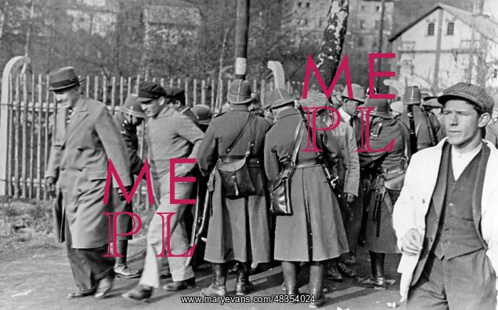 : Election rally in Neudek, 1937 : Election rally in Neudek, 1937