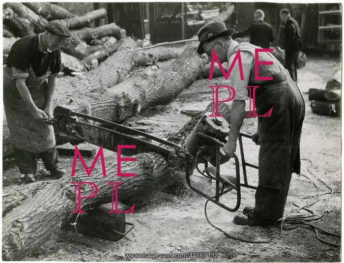 : ELECTRIC CHAINSAW : ELECTRIC CHAINSAW