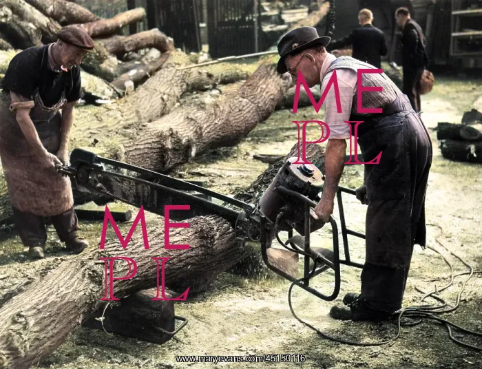 : ELECTRIC CHAINSAW : ELECTRIC CHAINSAW
