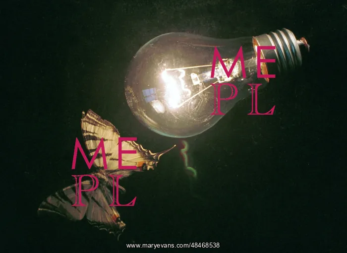 : Electric Light photo art work, 1997 : Electric Light photo art work, 1997
