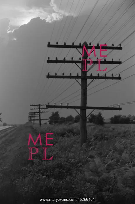 : Electric lines taking power to rural Americans : Electric lines taking power to rural Americans