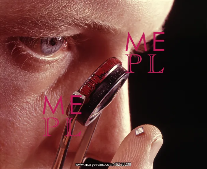 : An electrical engineer peers through a lens ? : An electrical engineer peers through a lens ?