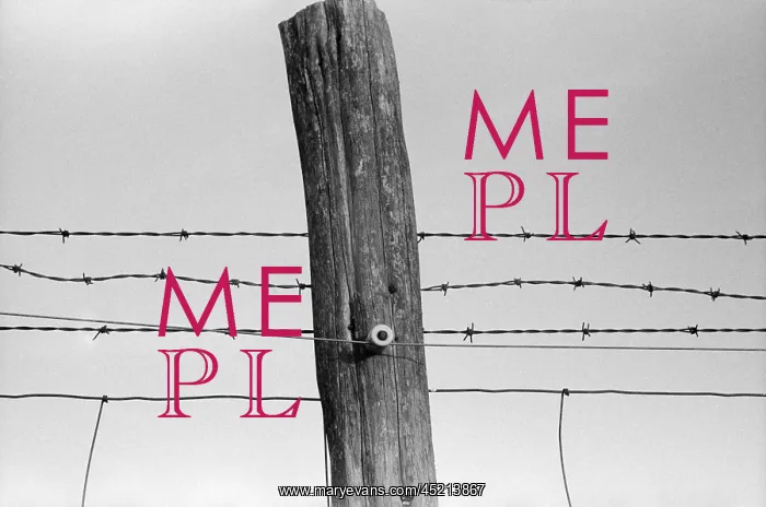 : Electrified barbed wire fence. As the New ? : Electrified barbed wire fence. As the New ?