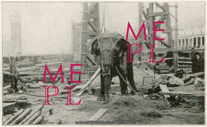 : Electrocution of an elephant : Electrocution of an elephant