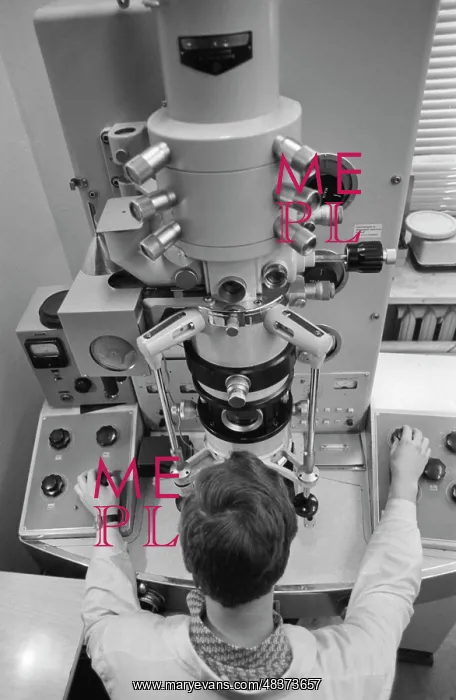 : Electron Microscope : Electron Microscope