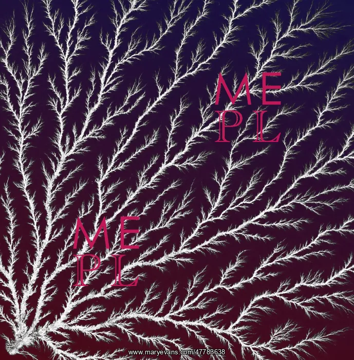 : Electron Tree or Lichtenberg Figure : Electron Tree or Lichtenberg Figure