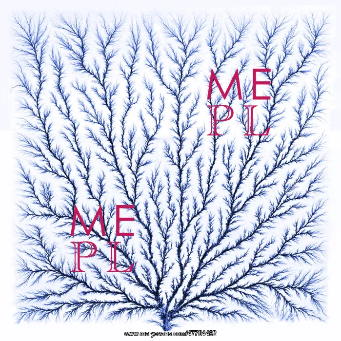 : Electron Tree or Lichtenberg Figure : Electron Tree or Lichtenberg Figure