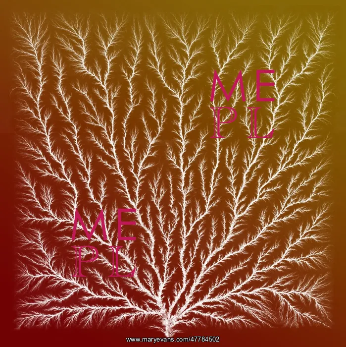 : Electron Tree or Lichtenberg Figure : Electron Tree or Lichtenberg Figure