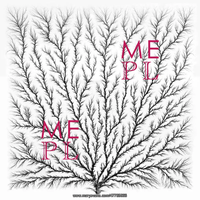 : Electron Tree or Lichtenberg Figure : Electron Tree or Lichtenberg Figure