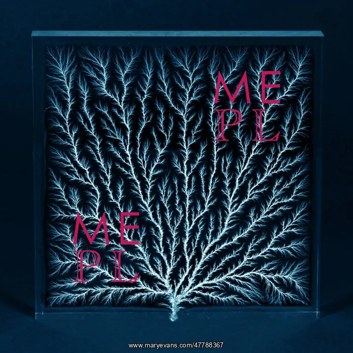 : Electron Tree or Lichtenberg Figure : Electron Tree or Lichtenberg Figure