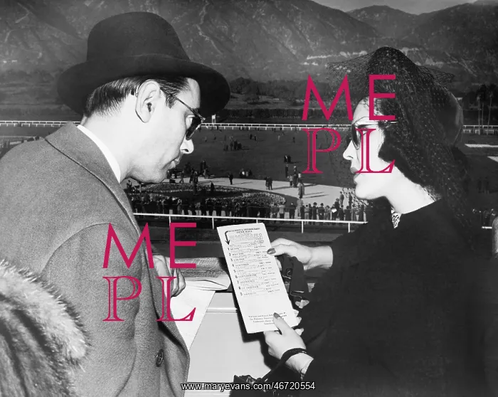 : Elegant couple at a horse race looking at a program : Elegant couple at a horse race looking at a program