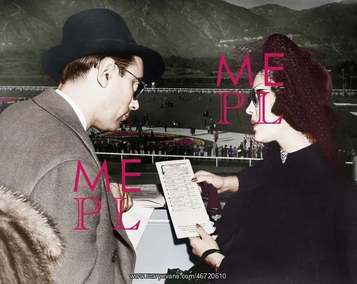 : Elegant couple at a horse race looking at a program : Elegant couple at a horse race looking at a program